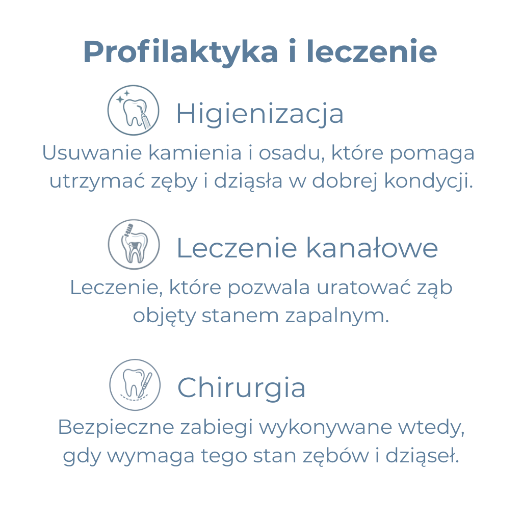 profilaktyka i leczenie (1024 x 1024 px)